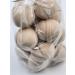 Spa Pure Egyptian Bath Bombs - 14 Musk Fizzies with Shea Butter for Dry Skin - Buy Online on GoSupps.com