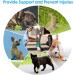 SlowTon Pet Self Adhesive Bandage Pet Vet Wrap Tape Waterproof Non-Woven Cohesive Gauze Rolls for Dog Cat Animals First Aid Wrap for Wrist Healing Ankle Sprain & Swelling 2" x 5 Yards(12 Rolls) Pawprint 2" Width X 12 Roll - Buy Online on GoSupps.com