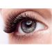 GJXES Eyelashes Extensions Kit Lash Clusters DIY Individual Lahes Mixed Length Extension Lashes 140 pcs 40D 0.07 D Curl 8-16mm Lash Bond-Seal Lash Glue Remover Lash Tweezers At Home Eyelashes Extensions Kit Easy To Use Beginners - Buy Online on GoSupps.com
