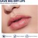 Richolyn Conditioner for Dry Lips | Natural for Men - Lip Balm for Men Organic Lip Balm with Moisturizing Serums and Vitamin E Natural Lip Balm - Buy Online on GoSupps.com