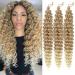 22 Inch Allgro Ocean Wave Crochet Hair 3 Packs - Deep Twist Braiding Hair Extension in 27/613# Color - Buy Online on GoSupps.com