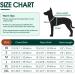Kuoser Dog Life Jacket for Small to Large Dogs | Adjustable Ripstop with Rescue Handle | High Buoyancy Pet Life-Saver Swimsuit| Beach Blue - XL - Buy Online on GoSupps.com