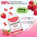 Magnesium Glycinate Gummies, High Absorption Magnesium Glycinate Supplements for Relaxation, Raspberry Chews for Adults and Kids, 60 Count 200MG Magnesium Glycinate 60 Count (Pack of 1) - Buy Online on GoSupps.com