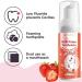 Foam Kids Toddler Toothpaste | Anti-Cavity Mousse | Fluoride-Free U-Shaped Toothbrush | Soda Strawberry Flavor - Ages 3 and Up - Buy Online on GoSupps.com