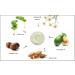 Raya Revitalizing Cream (307) | Best Moisturizing & Regenerating Facial Cream for Dry Skin | Anti-Aging Calming Day & Night Moisturizer - Buy Online on GoSupps.com