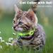 Airtag Cat Collar with Holder & Bell | Reflective Safety Neck Band for Kittens & Puppies - Green - Buy Online on GoSupps.com