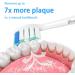 Senyum Replacement Brush Heads for Philips Sonicare - 8 Pack Compatible Toothbrush Heads (Blue) - Optimal Cleaning & Value - Buy Online on GoSupps.com