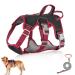 Multi-purpose dog harness with a leash set outbreak-proof anti-train dog harness anti-train crockery dog safety dishes dog harness Small dogs for small medium-sized dogs (black s) s black