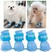 Yeduzyn Waterproof Dog Boots for Small Dogs - Blue Medium (4Pcs) | Snow and Rain Booties for Teddy, Pomeranian, Bichon - Buy Online on GoSupps.com