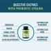 Digestive Enzymes & Probiotic Supplement for Digestion, Bloating, IBS, Constipation & Gas Relief - 60 Premium Blend Capsules - Buy Online on GoSupps.com
