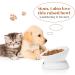Y YHY Raised Tilted Cat Food and Water Bowl Set - No Spill, Elevated Ceramic Feeder for Flat-Faced Cats and Small Dogs (White, Set of 2) - Buy Online on GoSupps.com