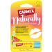  Carmex Carmex Lip Balm Various Fragrances (Naturally Watermelon 4 Units) - Buy Online on GoSupps.com