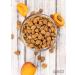 Sareks Organic Raw Bitter Apricot Seeds - 10oz Resealable Bag | USDA Certified, Non-GMO, Raw, Kosher, Vegan, Gluten-Free - Buy Online on GoSupps.com