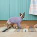 Buy Pumyporeity Cat Cotton Clothes - Warm Sweater & Soft Jumper for Hairless Cats | Stylish Vest Shirts & Costumes for Small to Large Cats (Purple S) - Buy Online on GoSupps.com