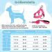 Eyein No-Pull Dog Harness with Leash - Adjustable Reflective Padded Design for Puppies Small & Large Dogs - Pink XS - Buy Online on GoSupps.com