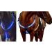 LED Horse Breastplate Collar-Best High Visibility for Horseback Riding-Adjustable-Sturdy and Comfortable Equestrian Safety Gear-for Night Horse Riding (Blue) - Buy Online on GoSupps.com