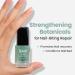 LONDONTOWN No Bite Nail Recovery - 0.40 Fl Oz. - Buy Online on GoSupps.com