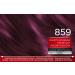 Schwarzkopf Brilliance Intensive Color Cream 859 Violet Wild Silk - Level 3 3 Pack with Extra Diamond Gloss Treatment | International Shipping Available - Buy Online on GoSupps.com