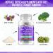 NAC 1200mg Milk Thistle TUDCA 500mg Liver Cleanse & Repair Formula - 90 Capsules - USA Made - Buy Online on GoSupps.com
