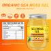 Mango & Pineapple Sea Moss Gel (500G) by ArganSea | Natural and Organic Made with Fresh Wildcrafted Irish Sea Moss from St Lucia | Dr Sebi Approved | 92 Vitamins Immune Boost Superfood - Buy Online on GoSupps.com