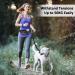 ETACCU Hands-Free Dog Lead with Waist Belt | Adjustable & Reflective Dog Running Lead for Walking, Jogging, Running | Large 20-120 lbs - Buy Online on GoSupps.com