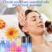 15Pcs 5Ml Essential Oil Roll on Bottles - JamHooDirect Refillable Rainbow Glass Roller Bottles with Stainless Steel Roller Balls & Black Caps & Bottle Opener Perfect for Aromatherapy Fragrance - Buy Online on GoSupps.com