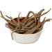 TRH AKARKARA ( Pellitory Root ) (100 gm) Pack of ( 1 x 100gm ) 100gm (Pack of 1) - Buy Online on GoSupps.com