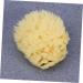 POPETPOP Sponges Bath Sponge Shower Sponge Seaweed Sponge Algae Sponge Baby Aldult - Buy Online on GoSupps.com