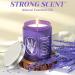WarmEmbrace Lavender Candles - 7.6 oz Aromatherapy Candle | Long-Lasting Purple Jar Scented Candle for Home | Ideal Gift for Women & Birthday - Buy Online on GoSupps.com