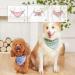 Easter Dog Bandanas - 4PCS Spring Cotton Scarfs for Pets - Adjustable Polka Dot Accessories in Pink, Green, Blue, and Orange - Washable and Comfortable Gift for Small, Medium, and Large Dogs - Buy Online on GoSupps.com