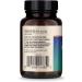 Dr. Mercola Complete Spore Restore - 4 Billion CFU Probiotic Capsules (30 Count) - Buy Online on GoSupps.com