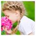 1000 Black Mini Elastic Hair Ties - Perfect for Kids Braids & Weddings | eCommerce International Shipping - Buy Online on GoSupps.com