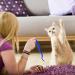 Nicola 9 PCs Door Hanging Cat Toys | Interactive Plush Mouse Toy for Indoor Cats | Self-Play Retractable Toy | Boredom Elimination - Buy Online on GoSupps.com