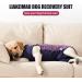Breathable Dog Diviser for Surgical Wounds | Anti-Losing Cone & E-Neck Band Alternative | Size M - Navy Blue (1 Pack) - Buy Online on GoSupps.com