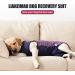Shop Lianzimau Dog Dividers - Breathable Surgical Skin Protection & Anti-Losing Cone XXL Navy Blue | Ideal E-Collar Alternative - Buy Online on GoSupps.com
