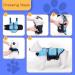 Nobleza Dog Life Vest - Adjustable Swimming Jacket for Medium Dogs with Rescue Handle & Reflective Strips | Buoyant & Safe for Boating & Canoeing - Blue - Buy Online on GoSupps.com