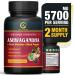 Organic India Ashwagandha Capsules 5700mg - 60 Vegan Capsules with Panax Ginseng + Black Pepper for Stress Relief, Support Adderall, Focus, Mood Enhancer, Immune & Thyroid Support - 2 Months Supply