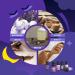 Lake Sleep Essential Oil Set Aromatherapy Gift with Vetiver Lavender & More (6x10 ml) - Pure Fragrance Oils for Diffusers & Humidifiers - Buy Online on GoSupps.com