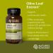 Nature's Sunshine Olive Leaf Extract Concentrate 60 Capsules - Buy Online on GoSupps.com