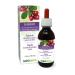 Naturalma Bearberry (Arctostaphylos uva Ursi) Leaf Alcohol-Free Tincture - 4 fl oz Liquid Extract in Drops - Herbal Supplement - Vegan Alcohol-free 4 Fl Oz (Pack of 1)