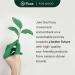 Good Natured Carpet Freshener & Deodorizer Powder Safe for Homes with Pets - Lemon & Eucalyptus - 70 Oz - Buy Online on GoSupps.com