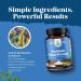 High Purity Sodium Bicarbonate Capsules for Digestive Health Support & pH Balance - 650mg - Delayed Release Gastric Support for Stomach Discomfort - Bicarbonato De Sodio - Easy to Swallow - 120 Ct 120 count (Pack of 1) - Buy Online on GoSupps.com