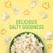 Angie s BOOMCHICKAPOP Ready-to-Eat Popcorn - Sea Salt Multipack (102g (6 * 17g) 1 Count) Sea-Salt 102 g (Pack of 1) - Buy Online on GoSupps.com