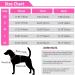 Cit toile Warm Dog Sweater - Turtleneck Knitting Pet Coat for Autumn/Winter | Stylish XL Pink Clothing for Small & Medium Pets - Buy Online on GoSupps.com