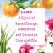 Garden of Life Organic Essential Oil - Happy Blend 0.5 fl oz | Aromatic Wellness - Buy Online on GoSupps.com