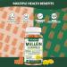 Putaojun 1 Pack Organic Mullein Gummies for Lungs, 2000MG Mullein Leaf Extract Supplement | Quercetin, Bromelain for Respiratory & Immune Support | Vegan, Sugr-Free, Mango Flavor | 60 Count - Buy Online on GoSupps.com
