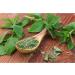 Country Range | Dried Mint | 2x180g - Buy Online on GoSupps.com