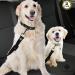 SungRow 2 Snug & Securable Dog & Cat Seat Belts - Universal Fit for Pet Safety While Riding in Cars - Buy Online on GoSupps.com