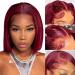 Liddy 99J Burgundy Bob Wig Human Hair 10Inch Brazilian Virgin Red Bob Wig Human Hair Pre Plucked with Baby Hair 13x4 Straight Lace Front Bob Wigs for Black Women Human Hair 150% Density (10 inch) 10 Inch Burgundy
