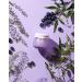 Frudia Blueberry Hydrating Cream 1.94 oz - Deep Moisture & Nourishment - Buy Online on GoSupps.com